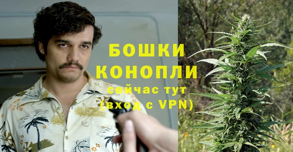 твердый Лагань