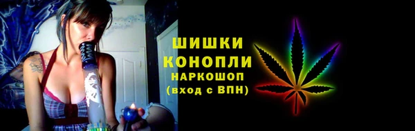 твердый Лагань