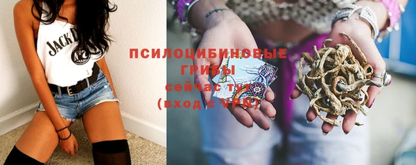 твердый Лагань