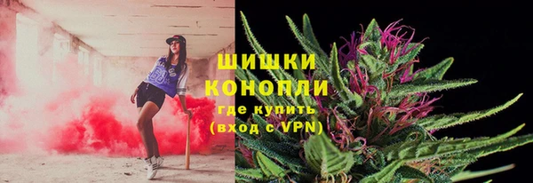 твердый Лагань